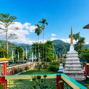 Jungle Trail – Dooars